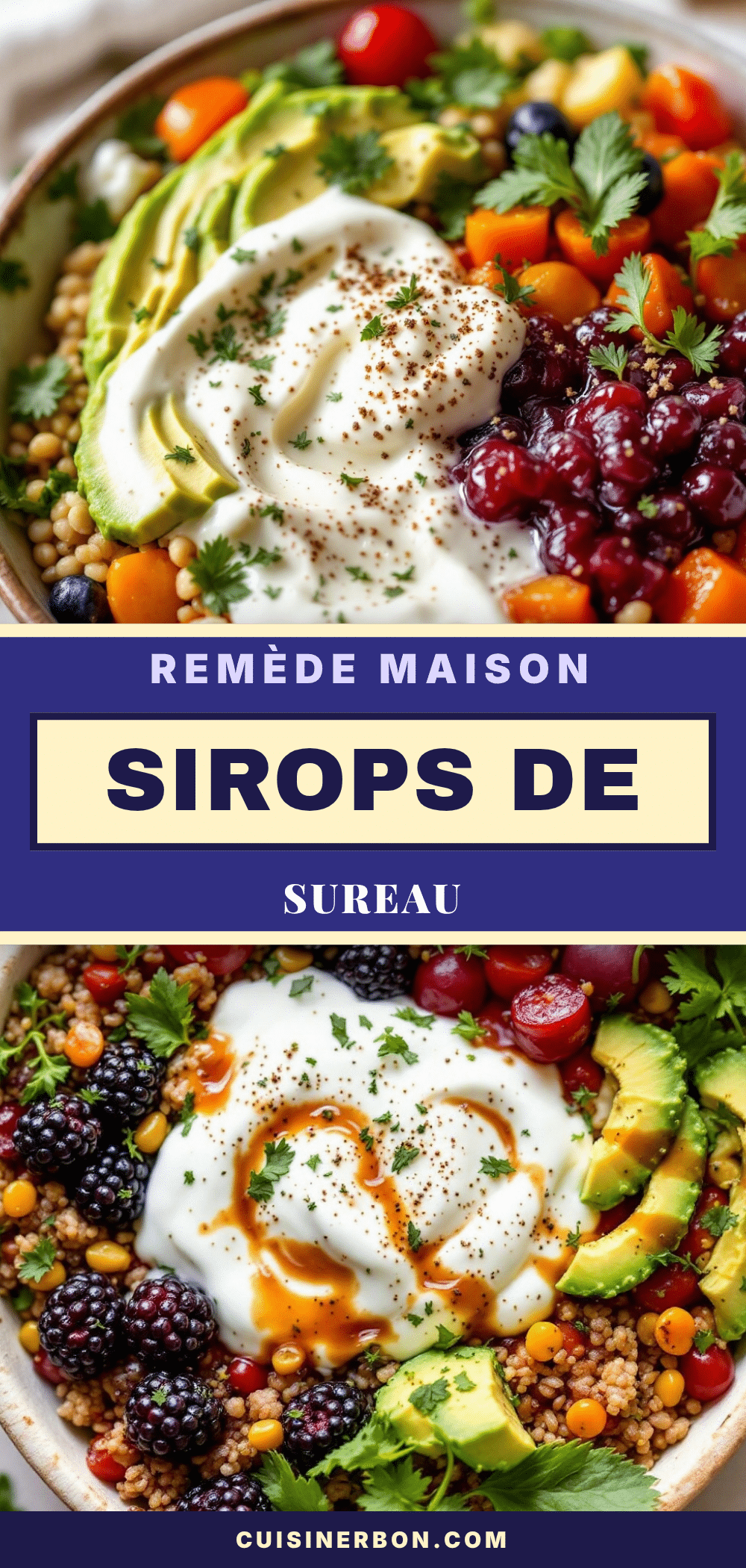 sirop de sureau fait maison recipe
