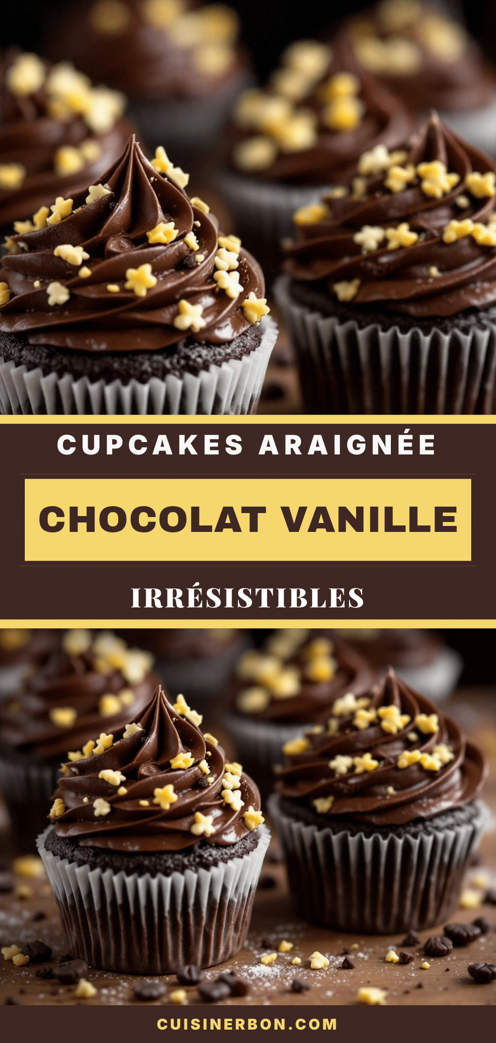 Cupcakes Araignée Chocolat Vanille recipe
